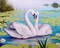 Swan Song WD239 14.9 x 18.9 inches Wizardi Diamond Painting Kit